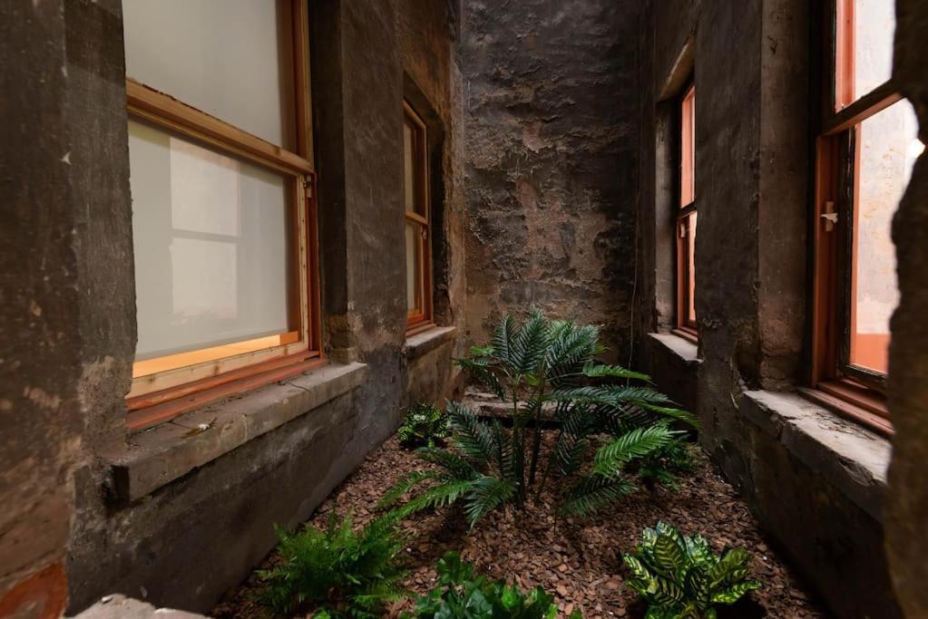 Penelope's Loft - Just Renovated 5br In Centre
